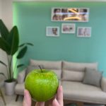 بوستریکس برای تعطیلات بزرگسالان علیه دیفتری