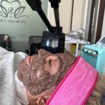 رضایت مشتری